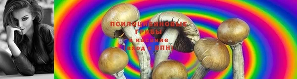 spice Пестово